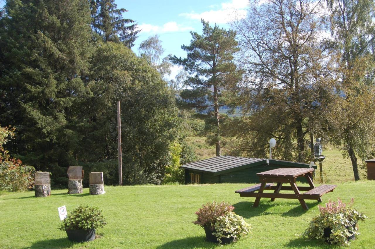 Lodge Woodland Hazel *
