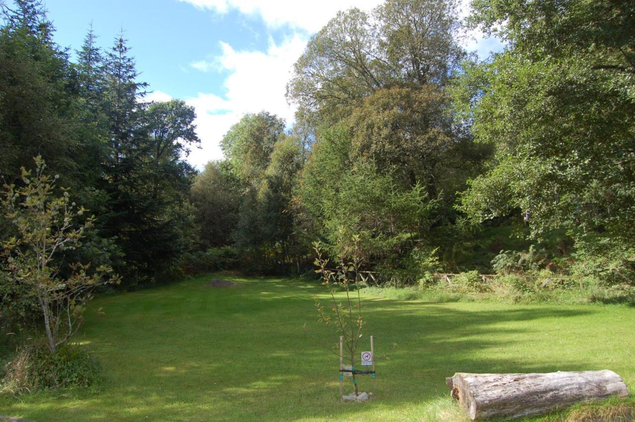 Woodland Hazel Lodge *