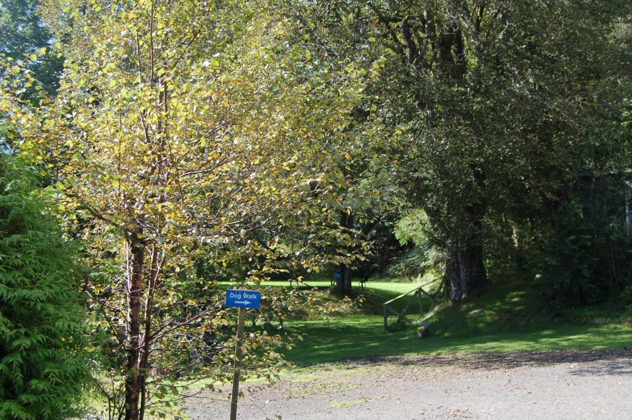 Woodland Hazel Lodge Killin